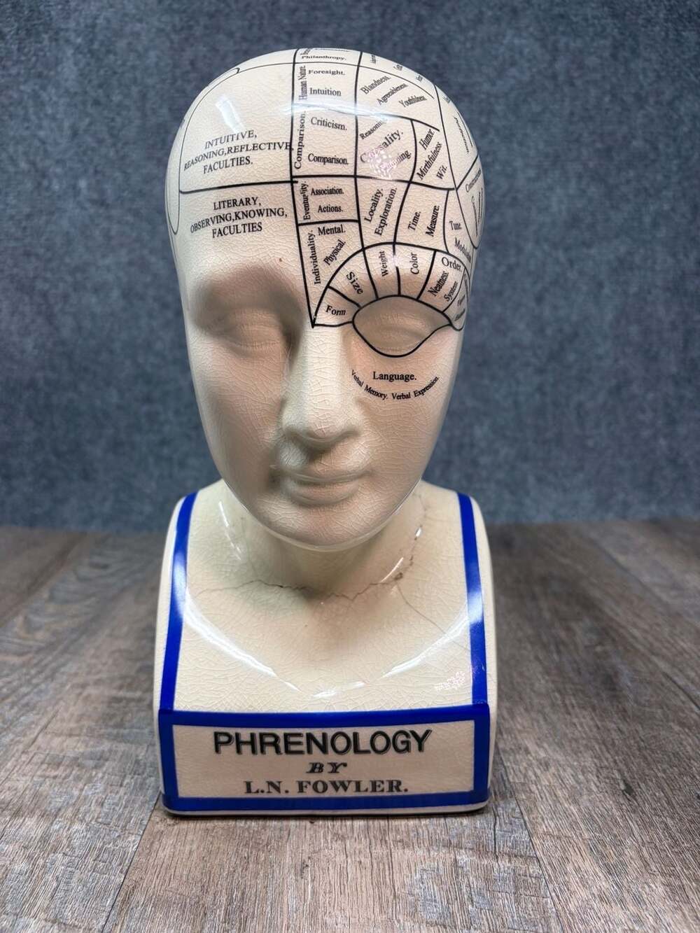 L.N. Fowler Phrenology Head Bust Porcelain Science Psychology Vintage Style 12"